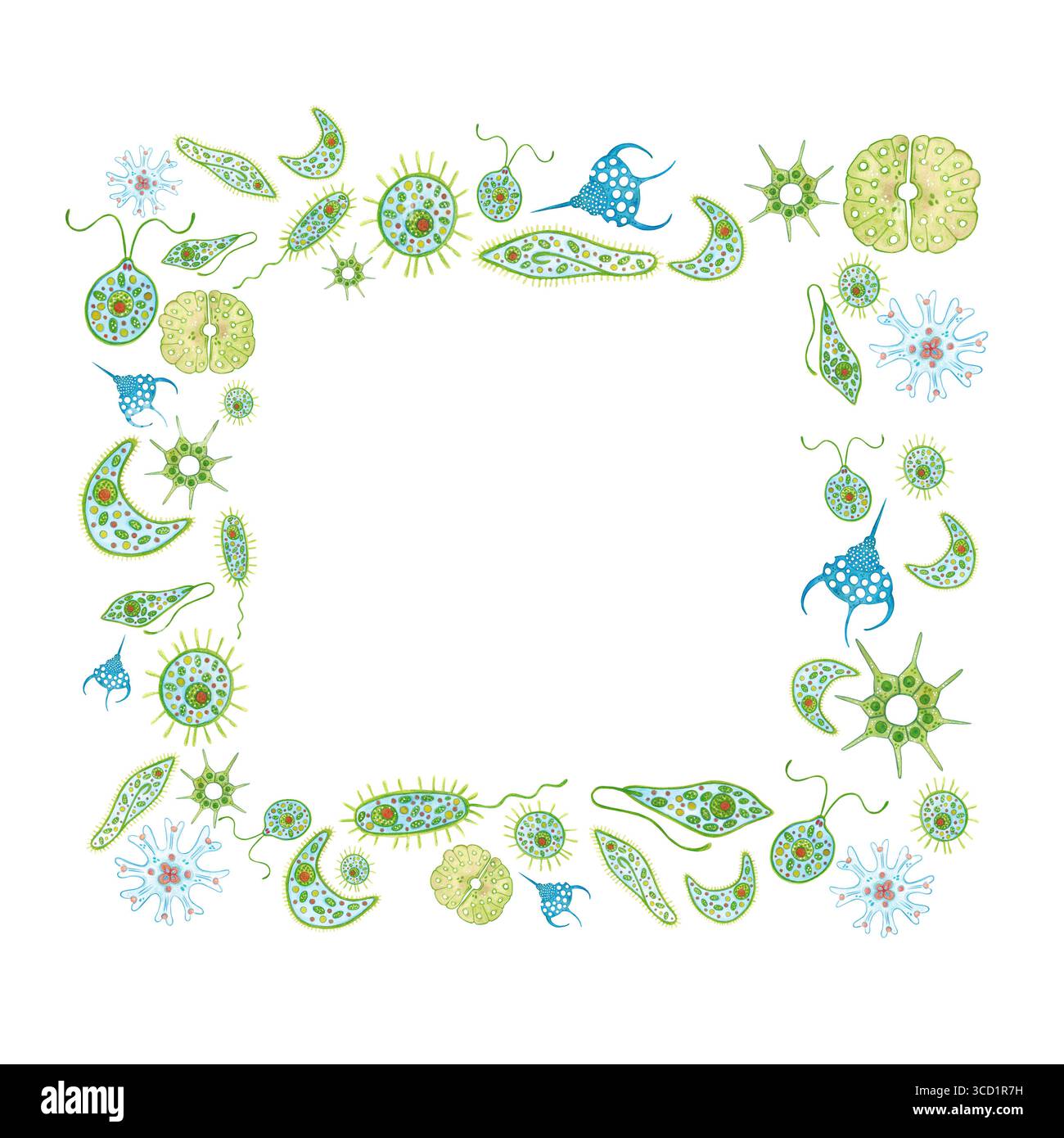 Frame of green single-celled organisms, phytoplankton on white ...