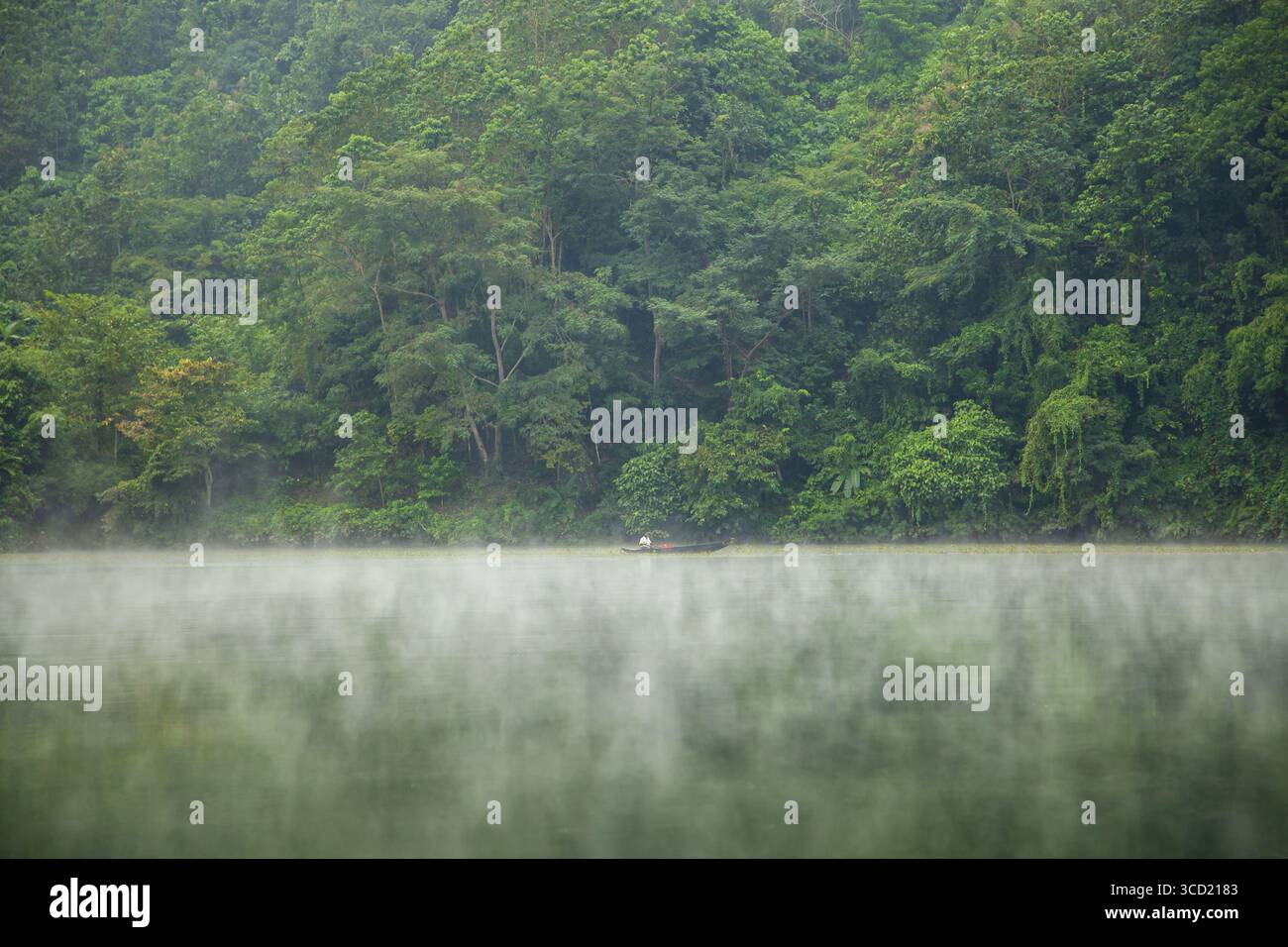 View of a misty lake reflecting the lush green forest in the background, creating a serene and picturesque scene, Rangamati, Chittagong Division, Bangladesh. Stock Photo