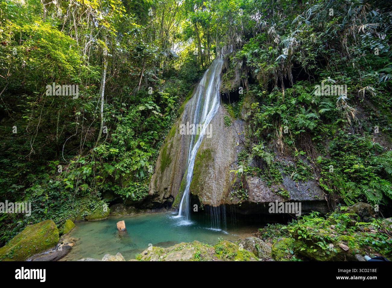 Hidden Waterfall Cascading into Emerald Pool Surrounded by Lush Jungle ...