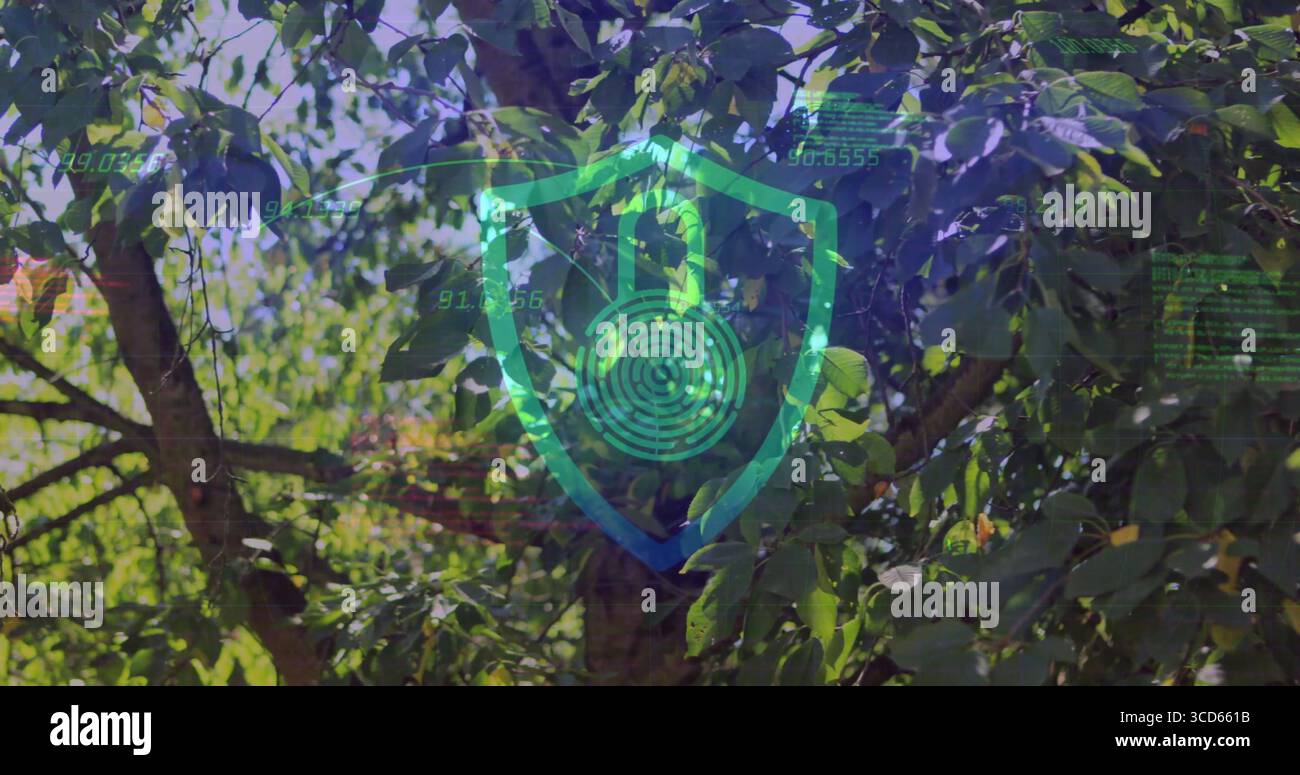 Displaying shield and padlock with circular maze over tree canopy, floating numeric code fragments Stock Photo