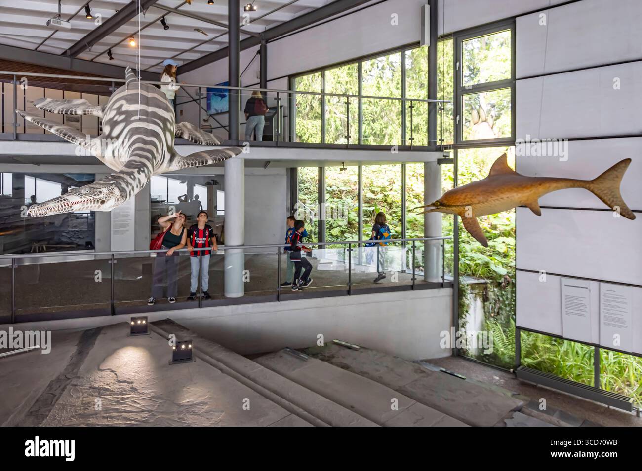 Extraordinary Museum Visitor Information and Access
