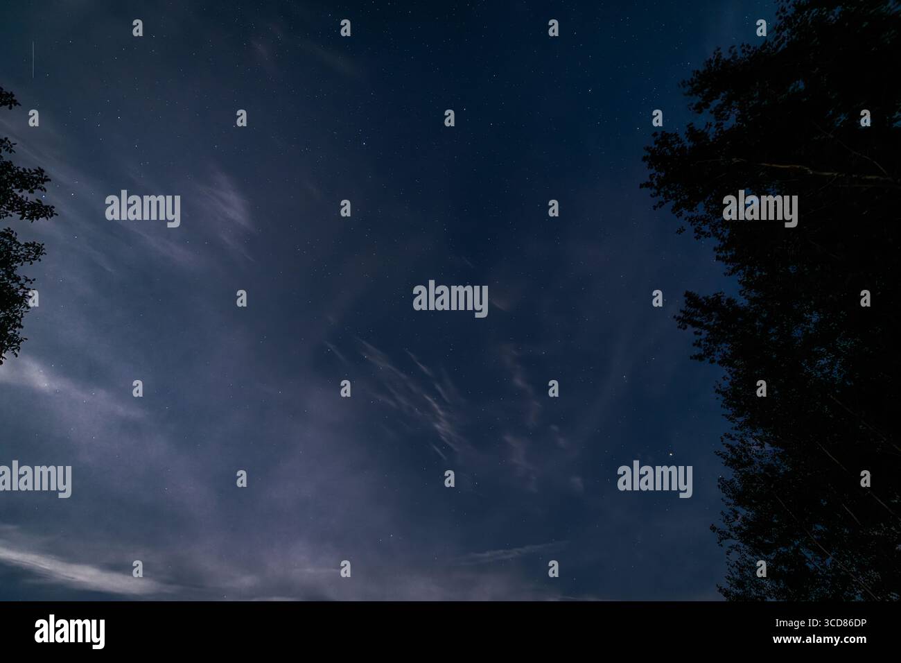 Silhouette of leaf trees with moon stars heaven in Roprachtice Stock Photo