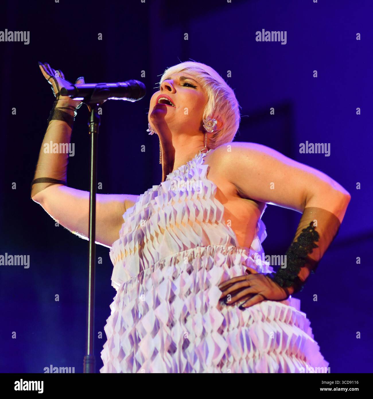 Spanish singer Pasion Vega performs during the concert at Conde Duque in Madrid, August 12, 2025, Spain. Stock Photo