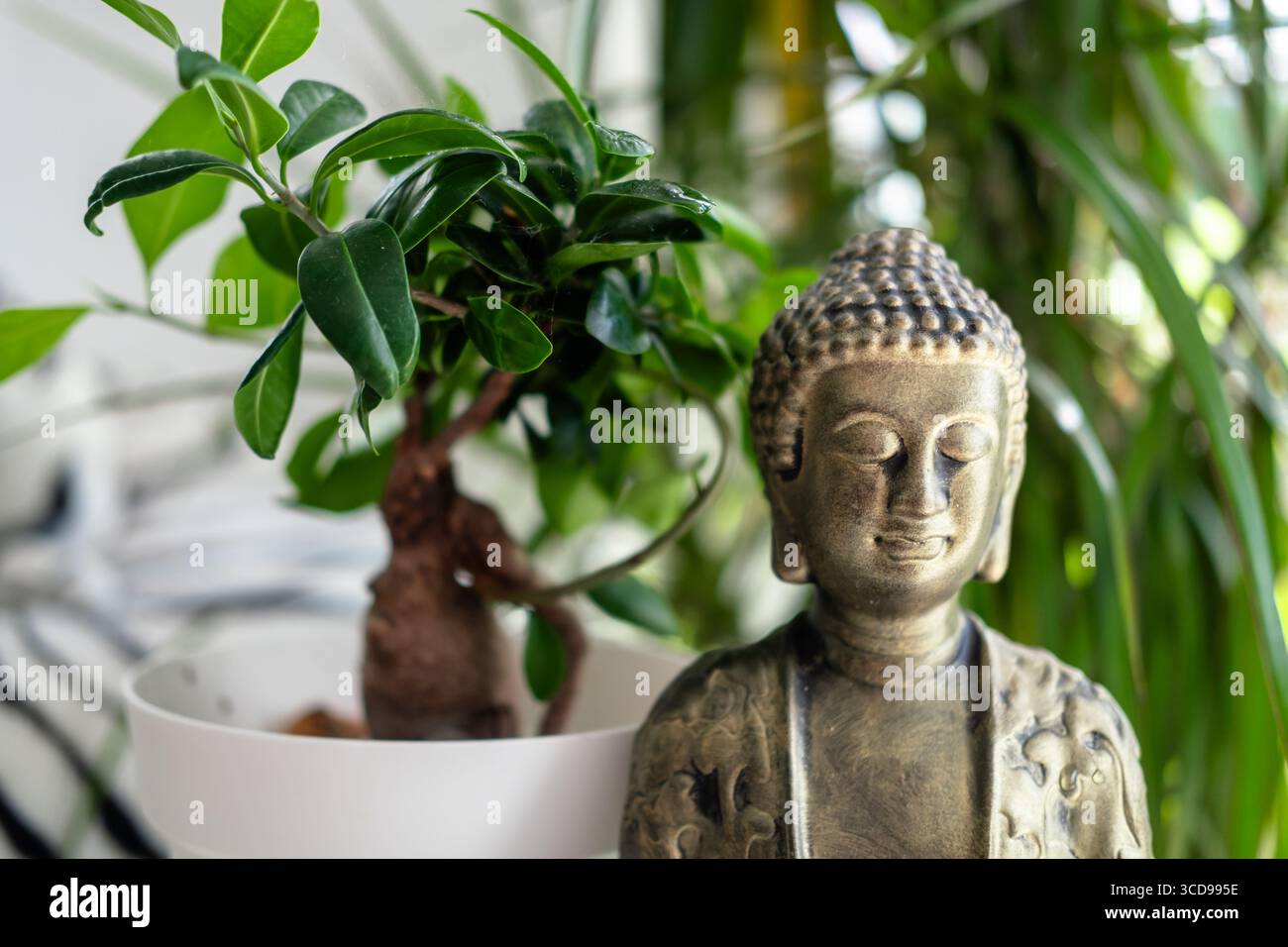 Bonsai buddha hi-res stock photography and images - Alamy