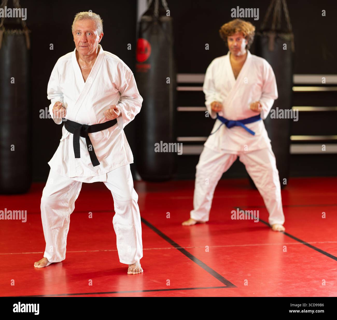 Sensei demonstrating kata with student on tatami Stock Photo - Alamy
