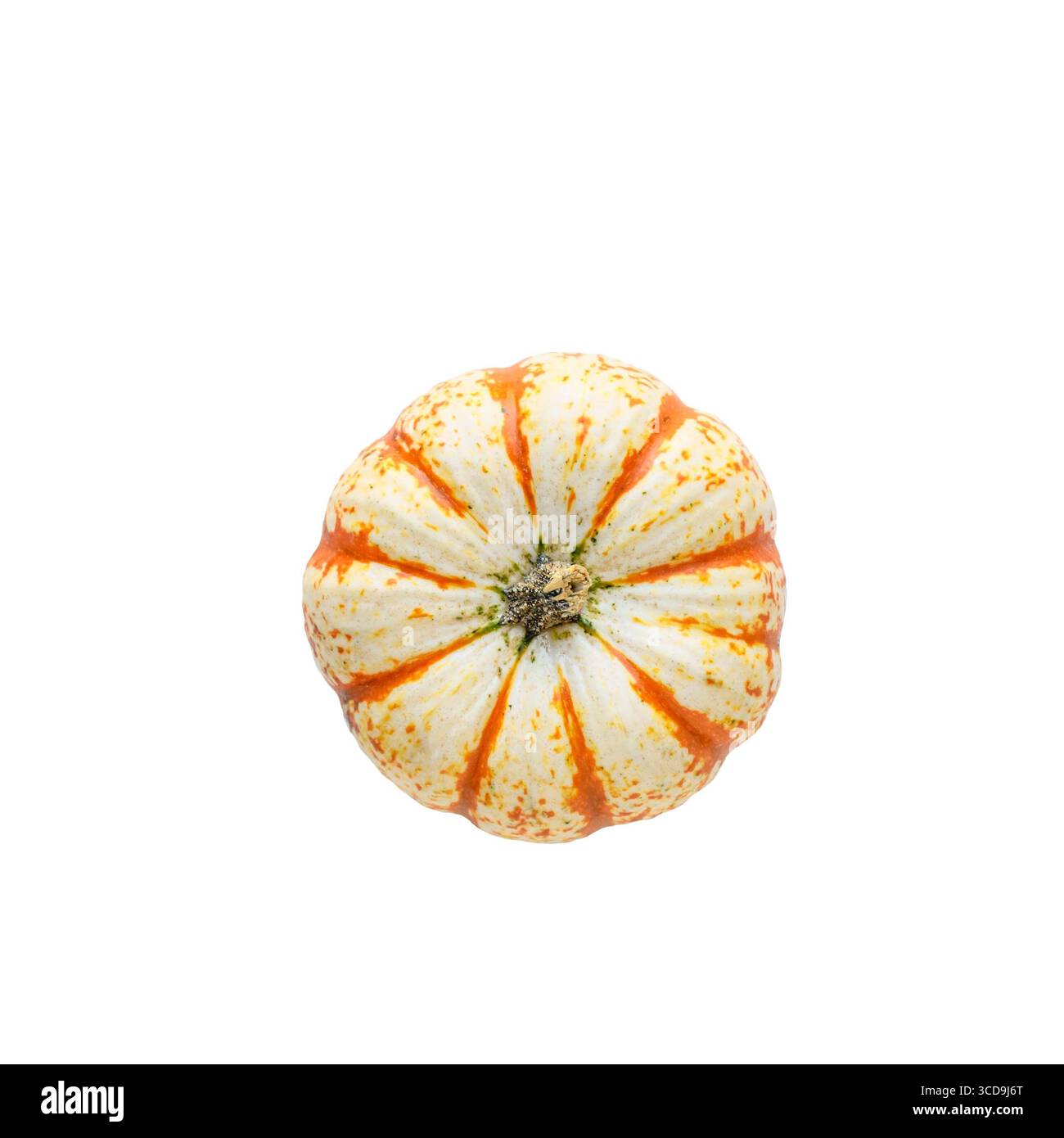 Top view white orange striped mini pumpkin isolated cutouton white Stock Photo