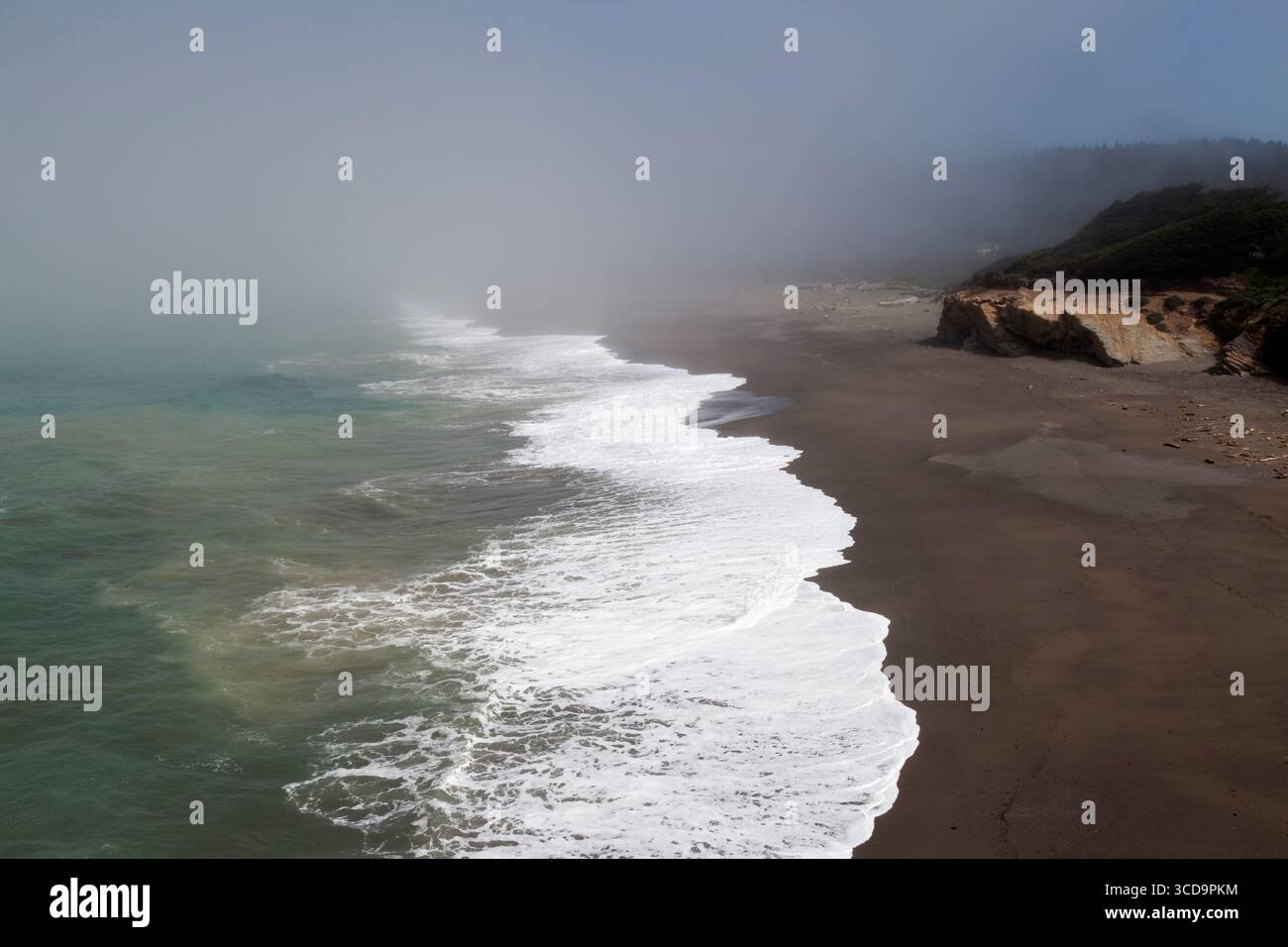 Surfline and fog bank along the beach at Gualala Point along Northern California's Sonoma Coast Stock Photo