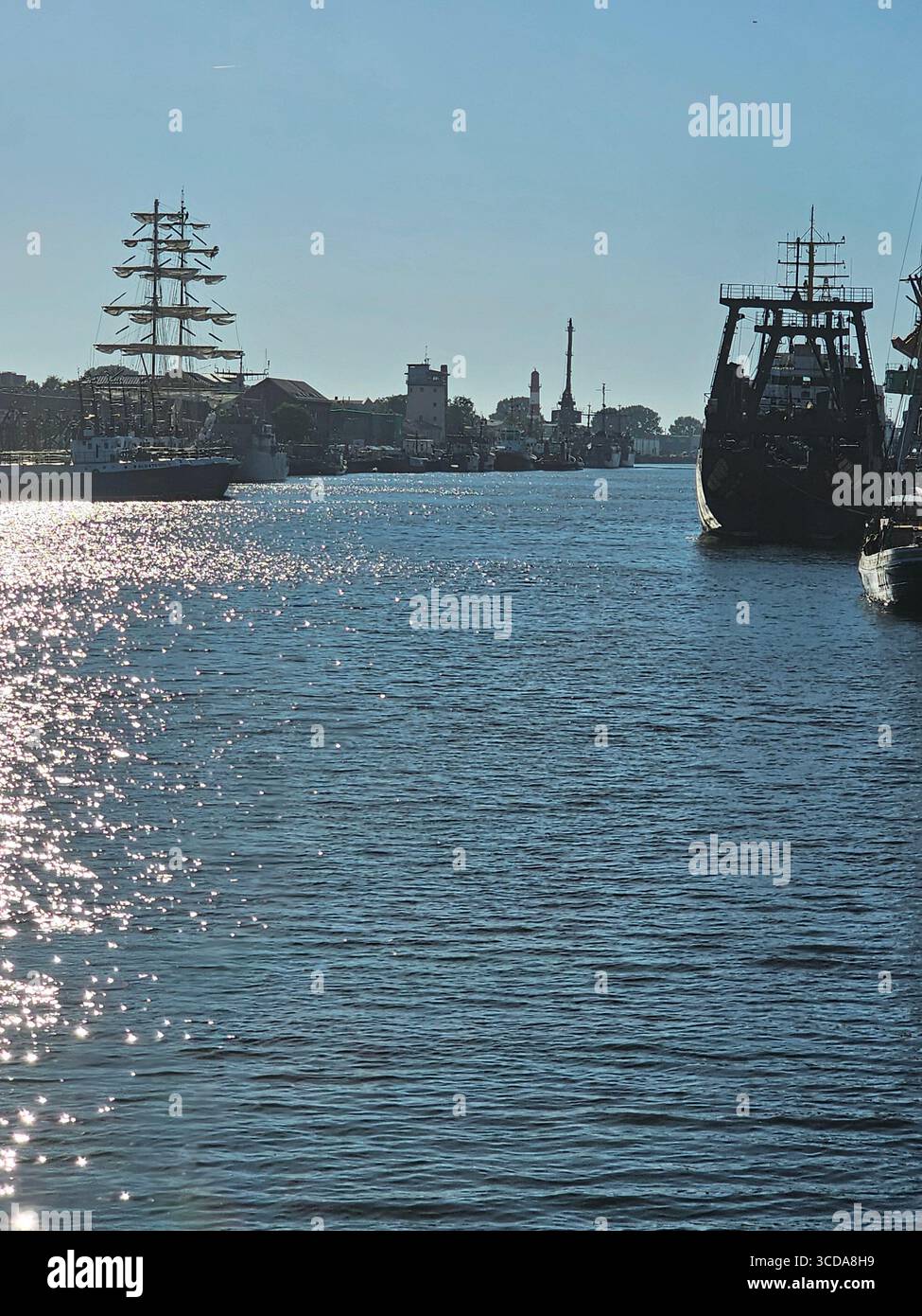 Where is water there is always a life - Smartphone Captured Stock Image