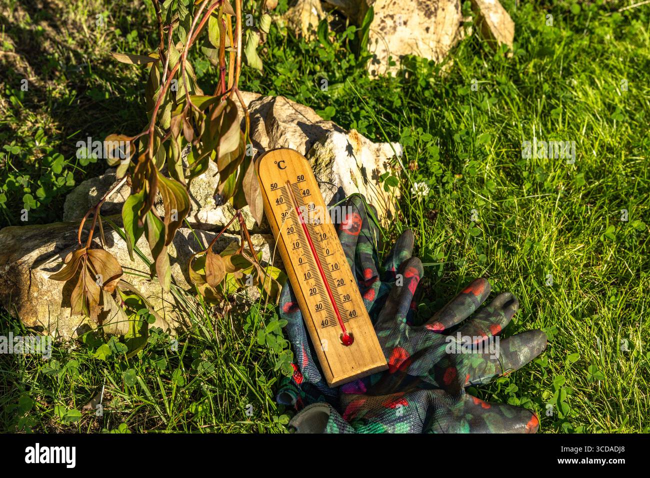 A wooden mercury thermometer shows a very high temperature in the garden, withered garden plants, and dried vegetation. Stock Photo