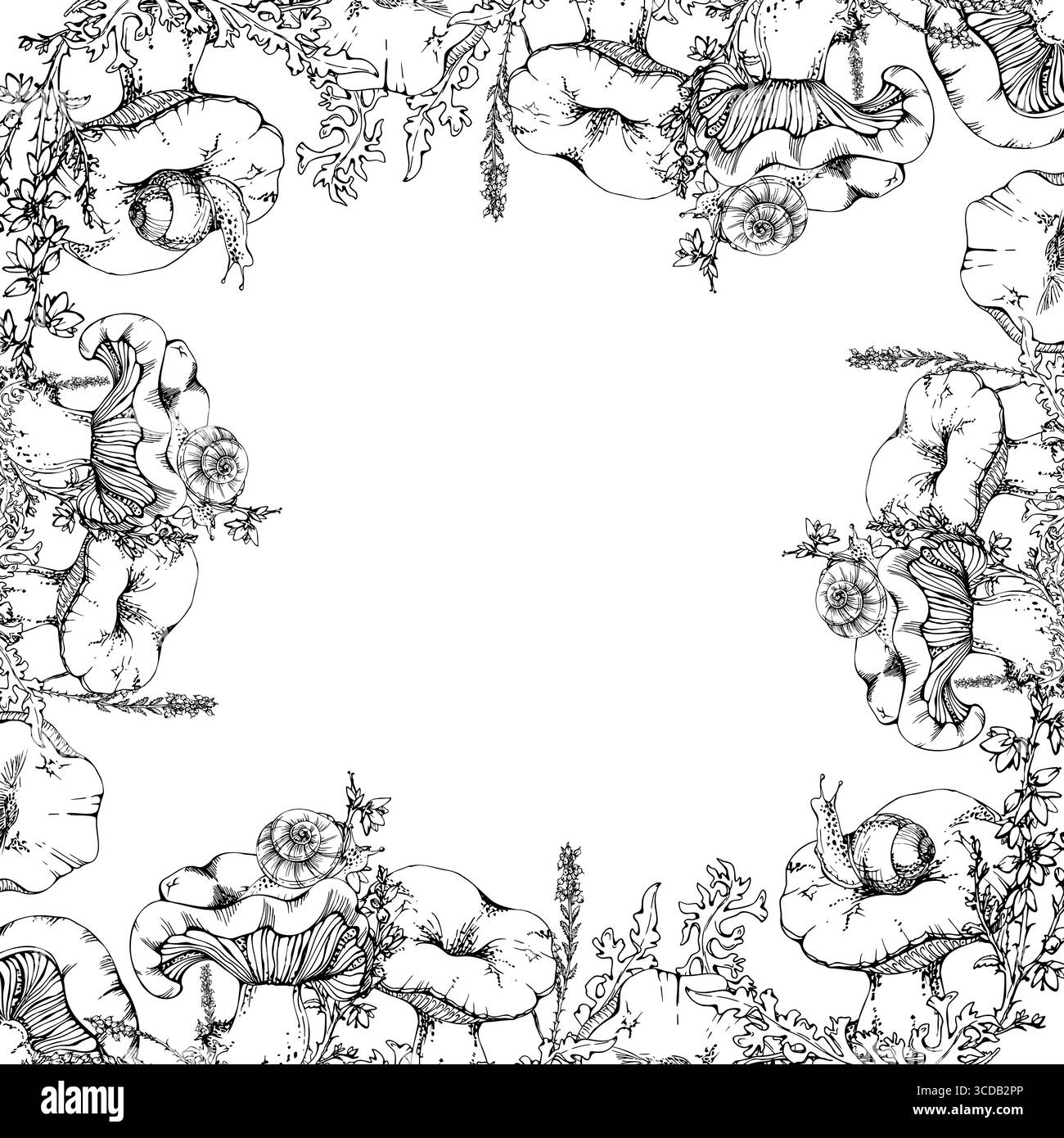 Heather border Black and White Stock Photos & Images - Alamy