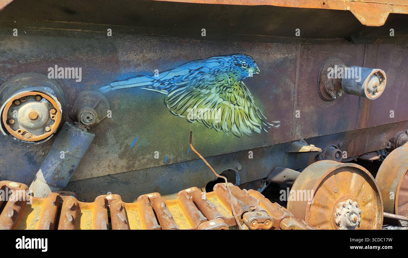 Burnt-out Russian tank with blue-and-yellow Ukrainian flag graffiti, [точне місце], Kyiv Oblast, Ukraine. Photographed on 6 July 2022, aftermath of the 2022 Russian invasion. - Smartphone Captured Stock Image