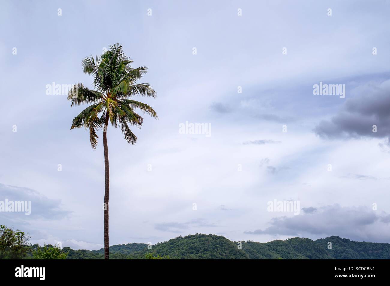 orange sky, evening, dusk, dark clouds, electric pole, background image Stock Photo