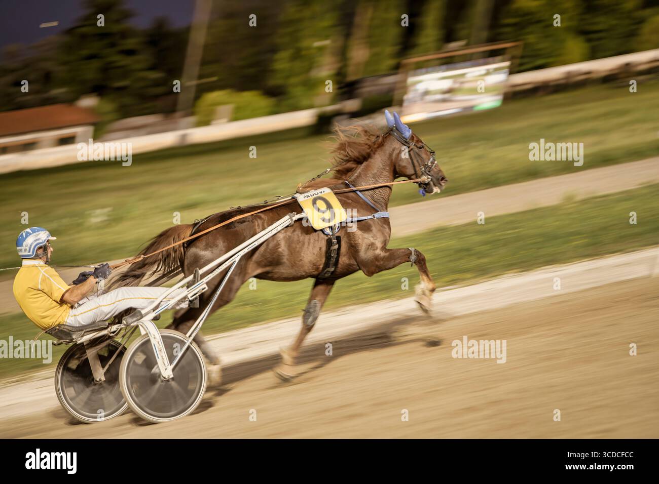 Sandy's Racing Track Padua, italy 18 july 2025, horse number nine running fast on a sandy ...