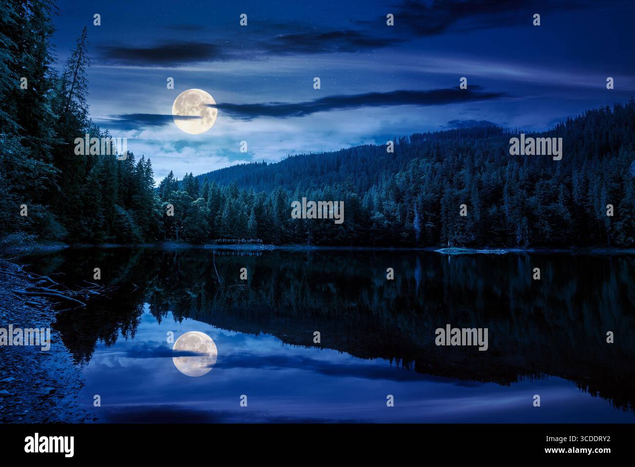 remote mountain landscape with forest lake in summer at night. travel nature background in full moon light. scenic view of coniferous trees reflection Stock Photo