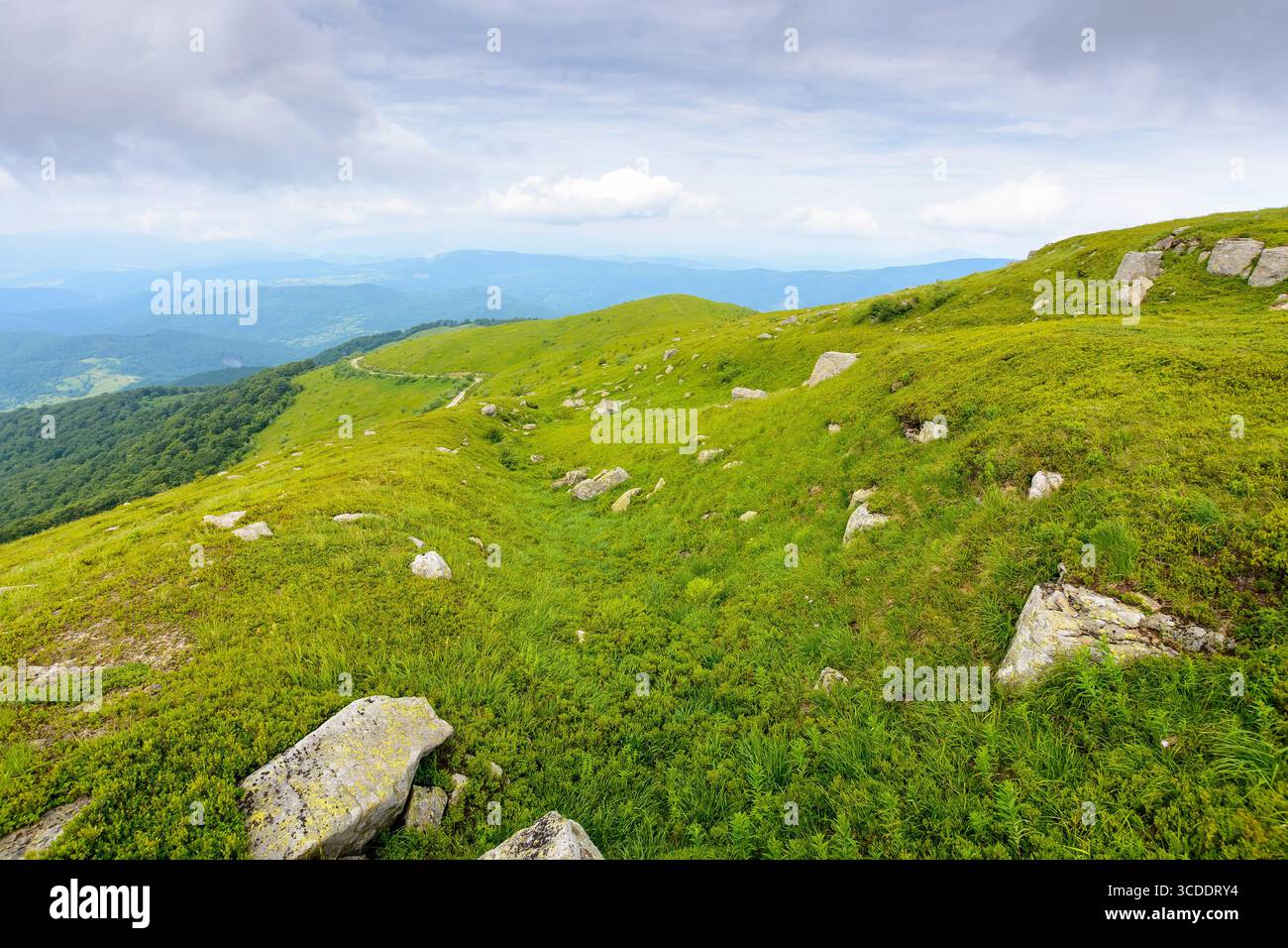 beautiful nature in mountain of ukraine on a cloudy day. hiking environment with rock and grass on the hills. view from the top in to the distant vall Stock Photo