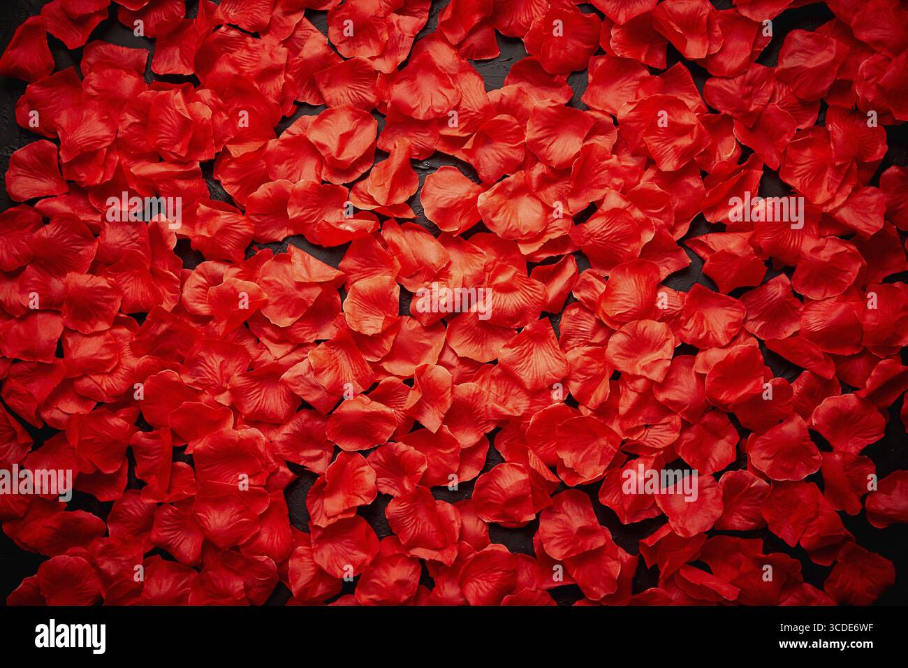 Background of beautiful red rose petals. Valentine Day or Love concept. Top view with copy space Stock Photo