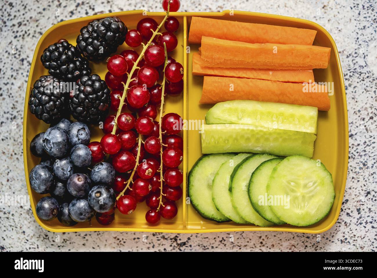 Healthy school lunch box with fresh vegetables and fruits. Top view ...