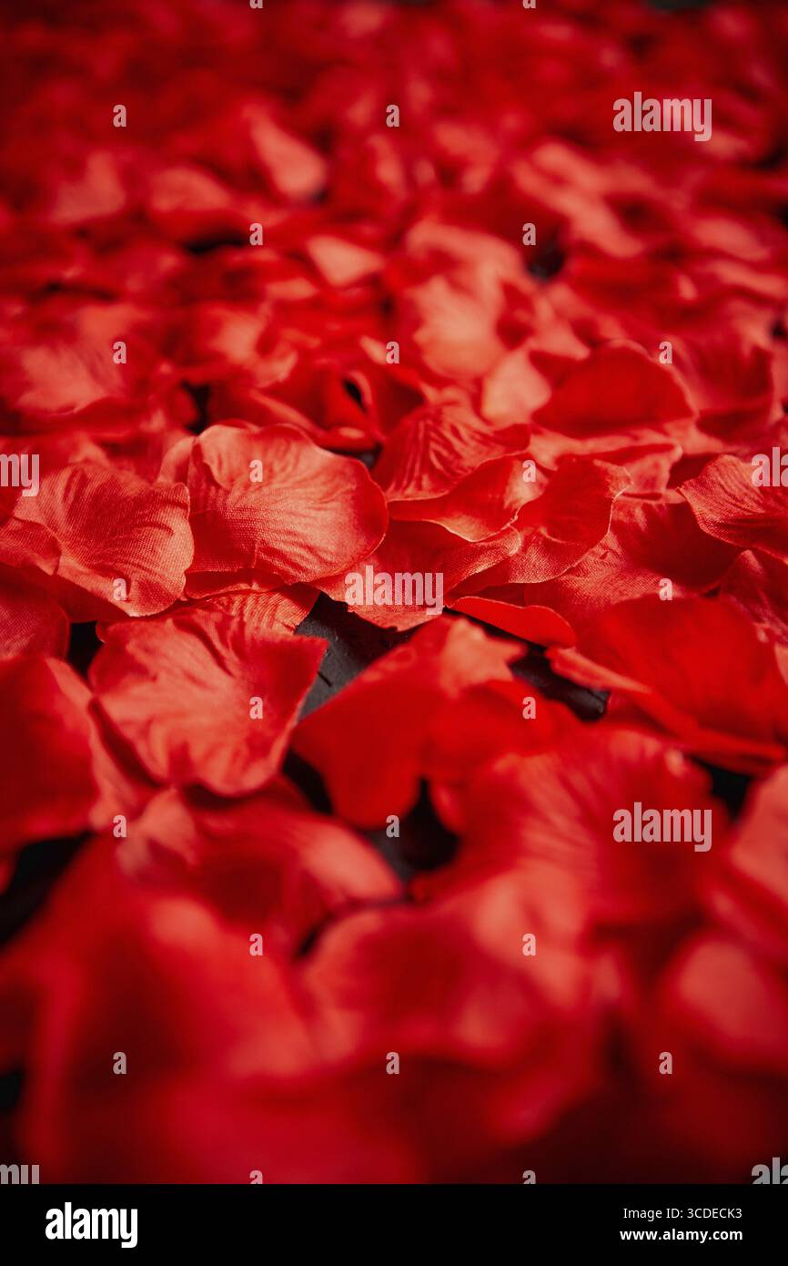 Background of beautiful red rose petals. Valentine Day or Love concept. Top view with copy space Stock Photo