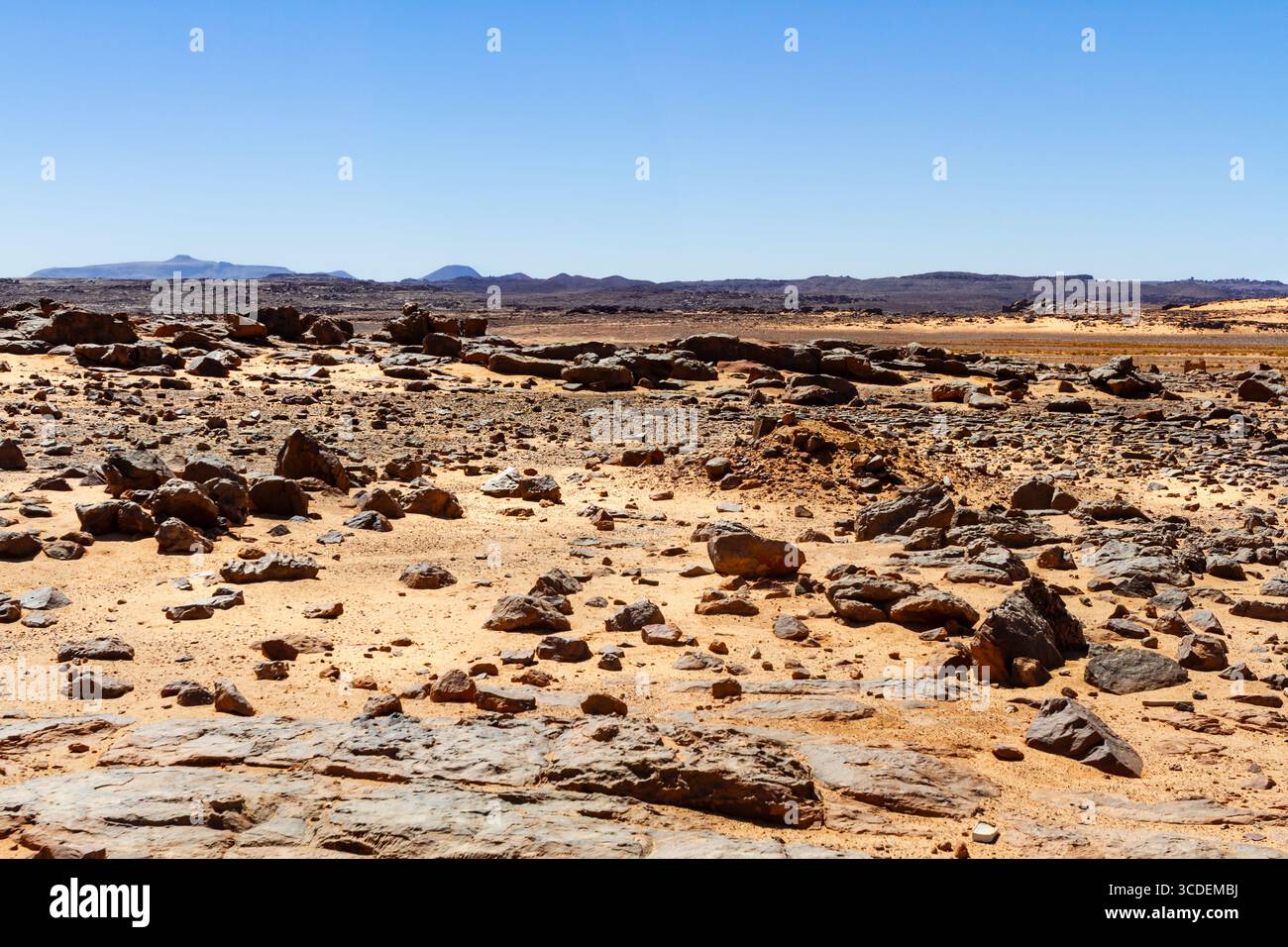 The Sahara desert. Hamada type desert. A dry, flat, rocky hamada desert ...