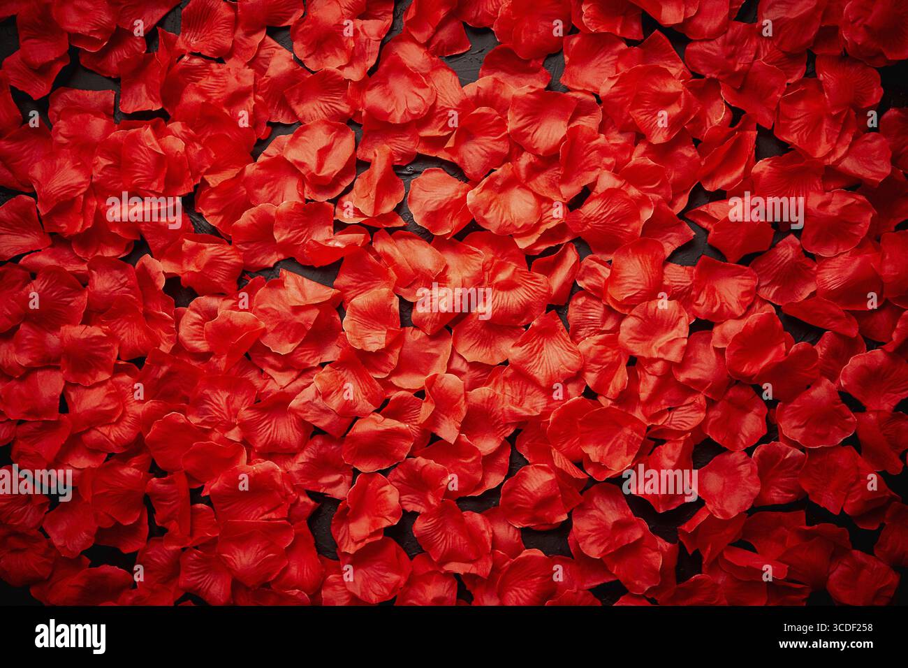 Background of beautiful red rose petals. Valentine Day or Love concept. Top view with copy space Stock Photo