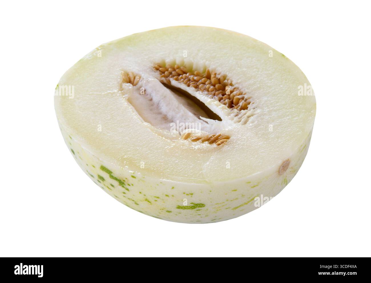 Honeydew Melon on White Background. Stock Photo