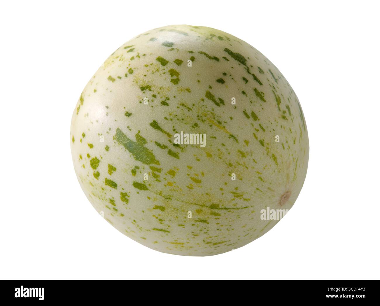 Honeydew Melon on White Background. Stock Photo