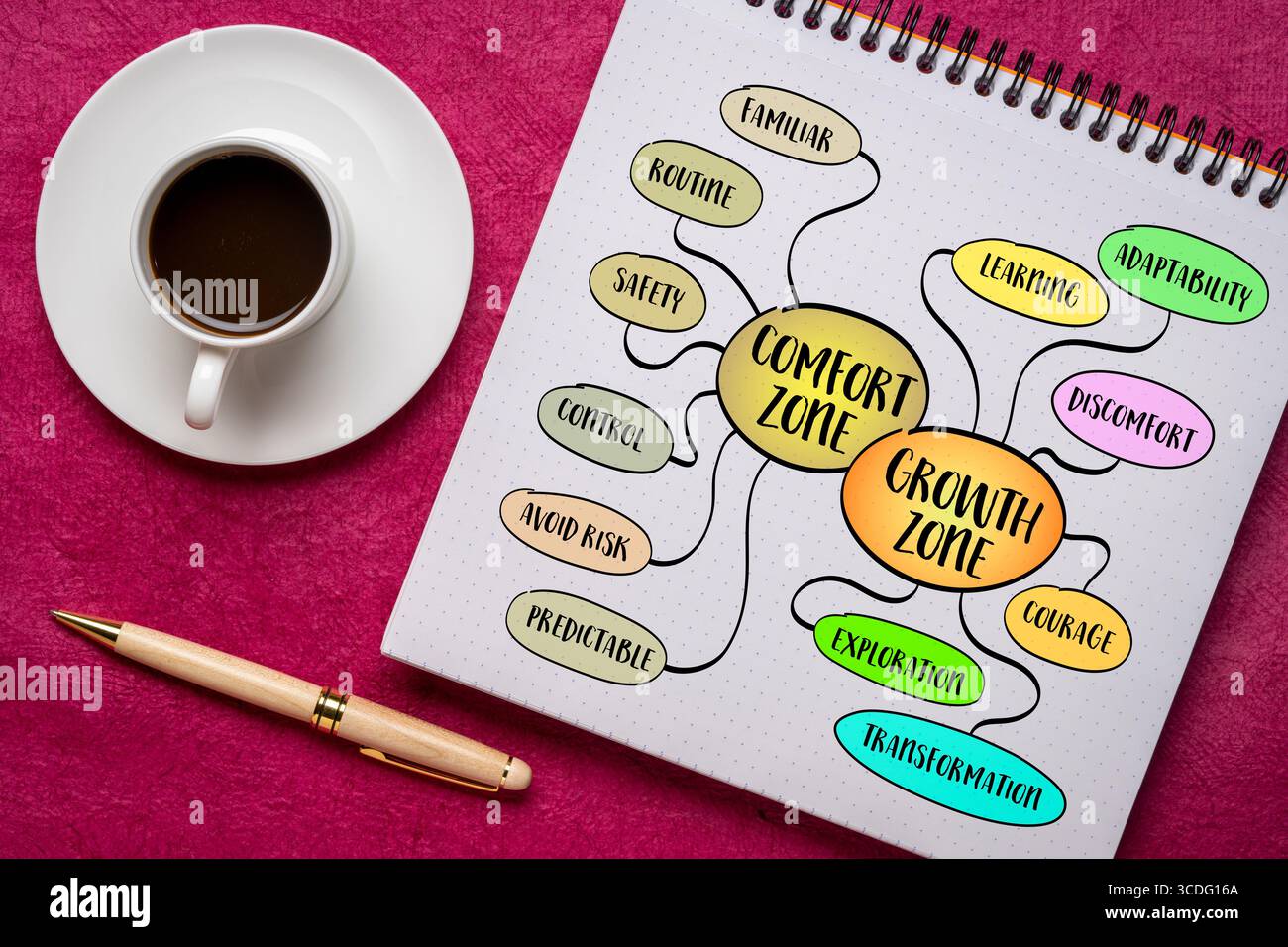 Hand-drawn mind map comparing comfort and growth zone. Includes mindset ...