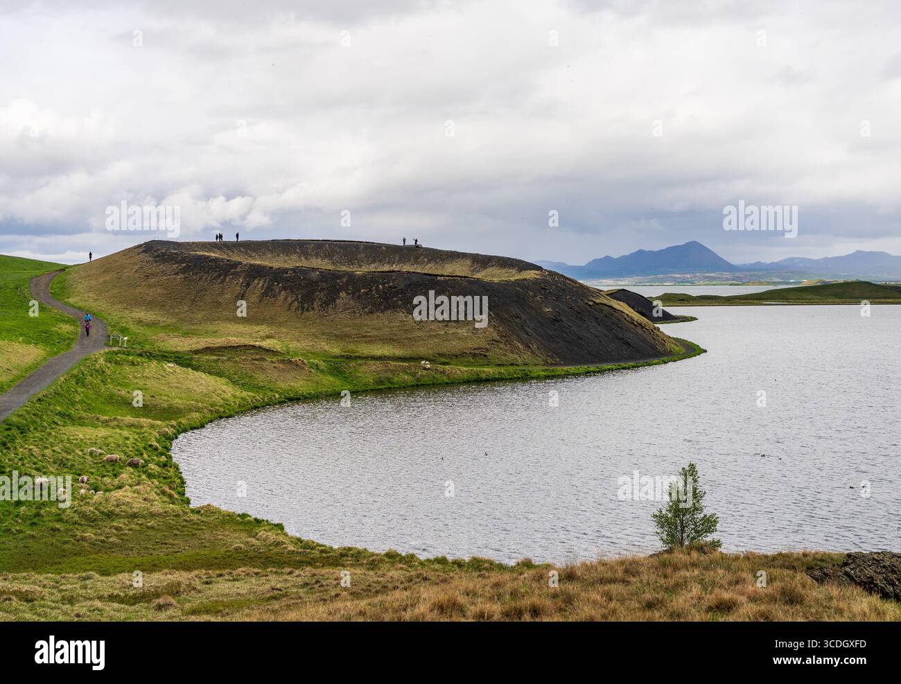 Explore the stunning landscapes of Lake Myvatn and its unique pseudo-craters in Iceland's Myvatn Nature Reserve Stock Photo