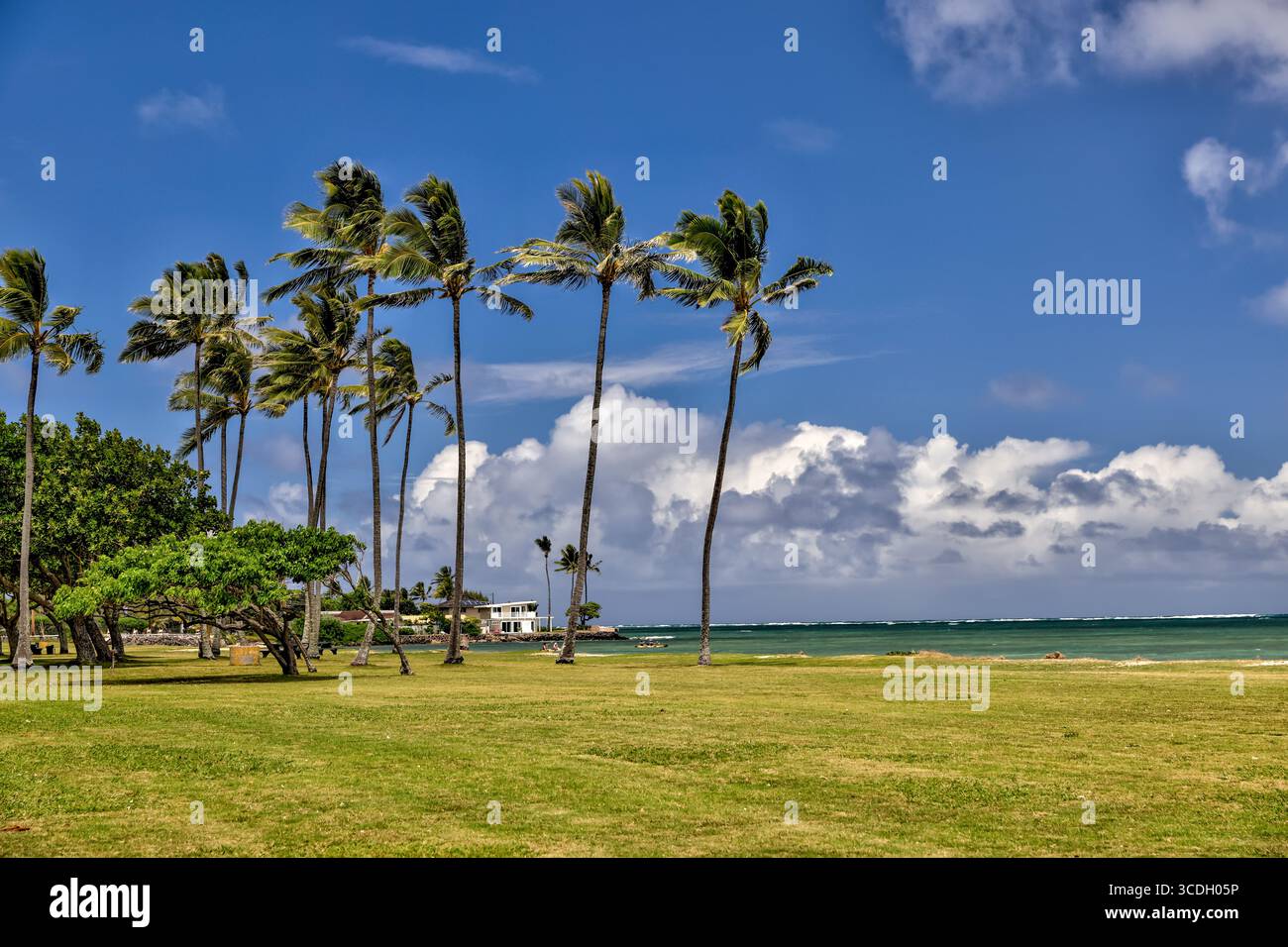 Scenery of the forests and nearby shores of Kualoa Ranch, famous for scenes from Jurassic Park and many other films Stock Photo