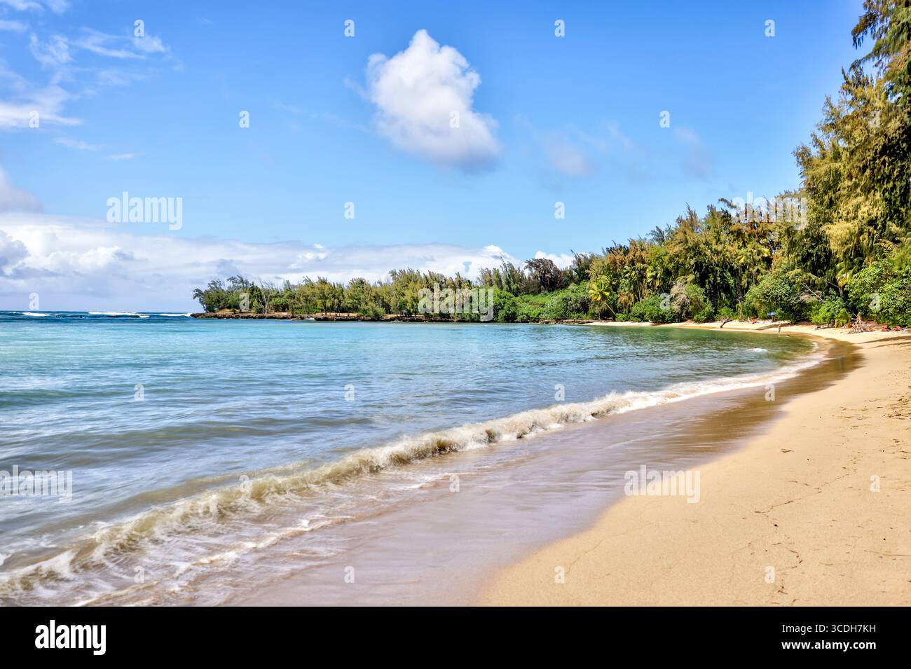 beach and surfboards lined up along the sand by Turtle Bay resort Stock Photo
