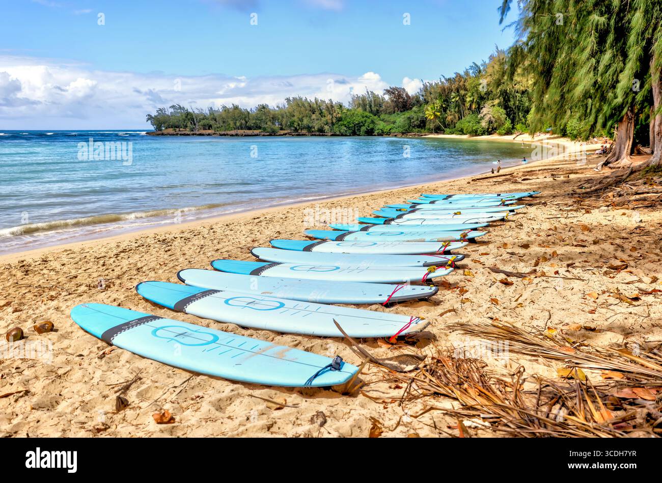 beach and surfboards lined up along the sand by Turtle Bay resort Stock Photo