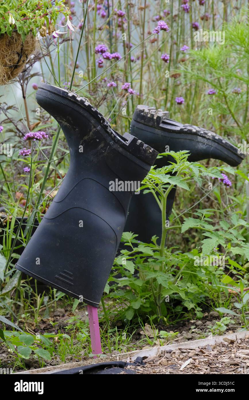 Upside-down wellies on a pole bring a touch of humour and creativity to an allotment garden, surrounded by wildflowers and greenery. Stock Photo