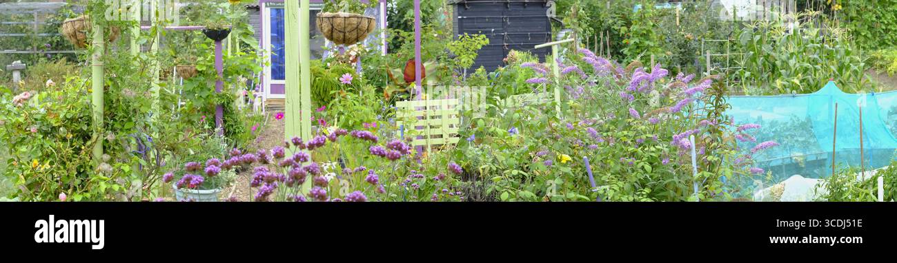 Colourful panoramic view of an allotment garden in summer, filled with flowering plants, hanging baskets, vegetable beds, and garden structures. Stock Photo