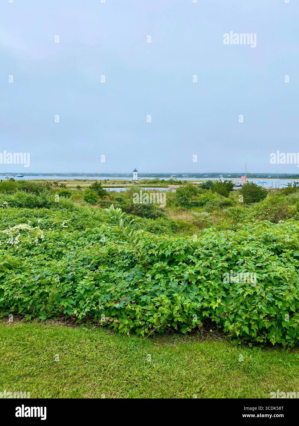 Scenery on Martha's Vineyard island with the Edgartown Lighthouse in the distance. - Smartphone Captured Stock Image