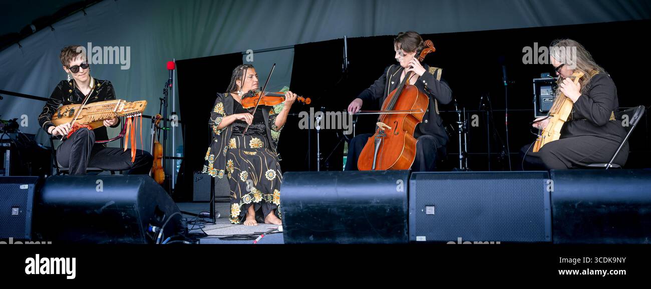 String quartet, Medusa, Canmore Folk Music Festival Stock Photo