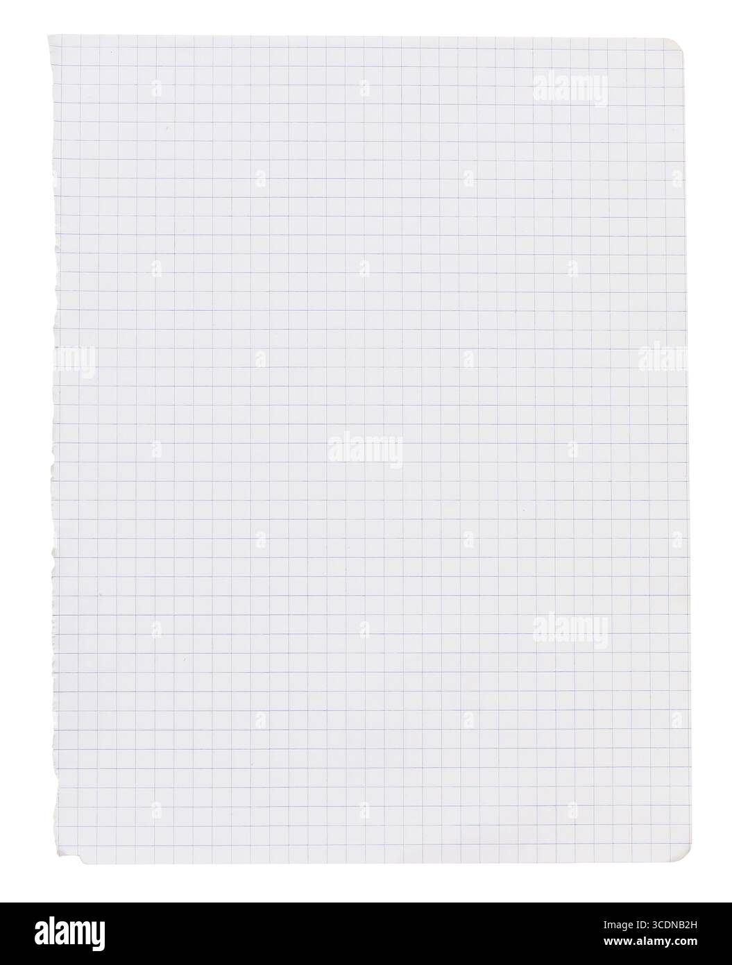 Torn-out checkered notebook page template isolated on transparent ...