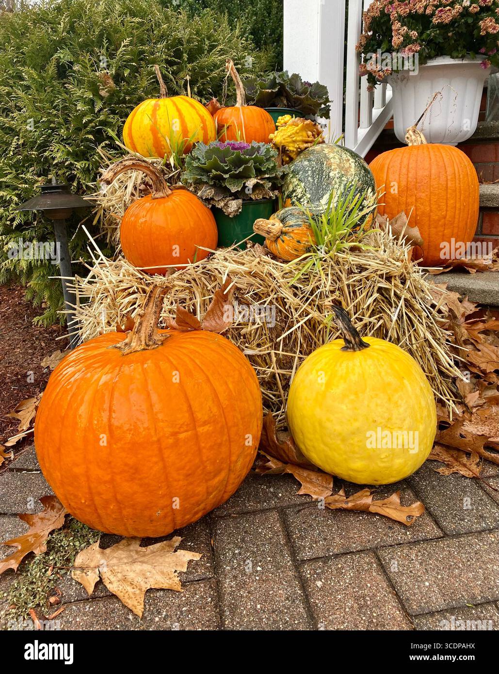 Pumpkins, gourd, and a hale of bay decorating a front porch in autumn. - Smartphone Captured Stock Image