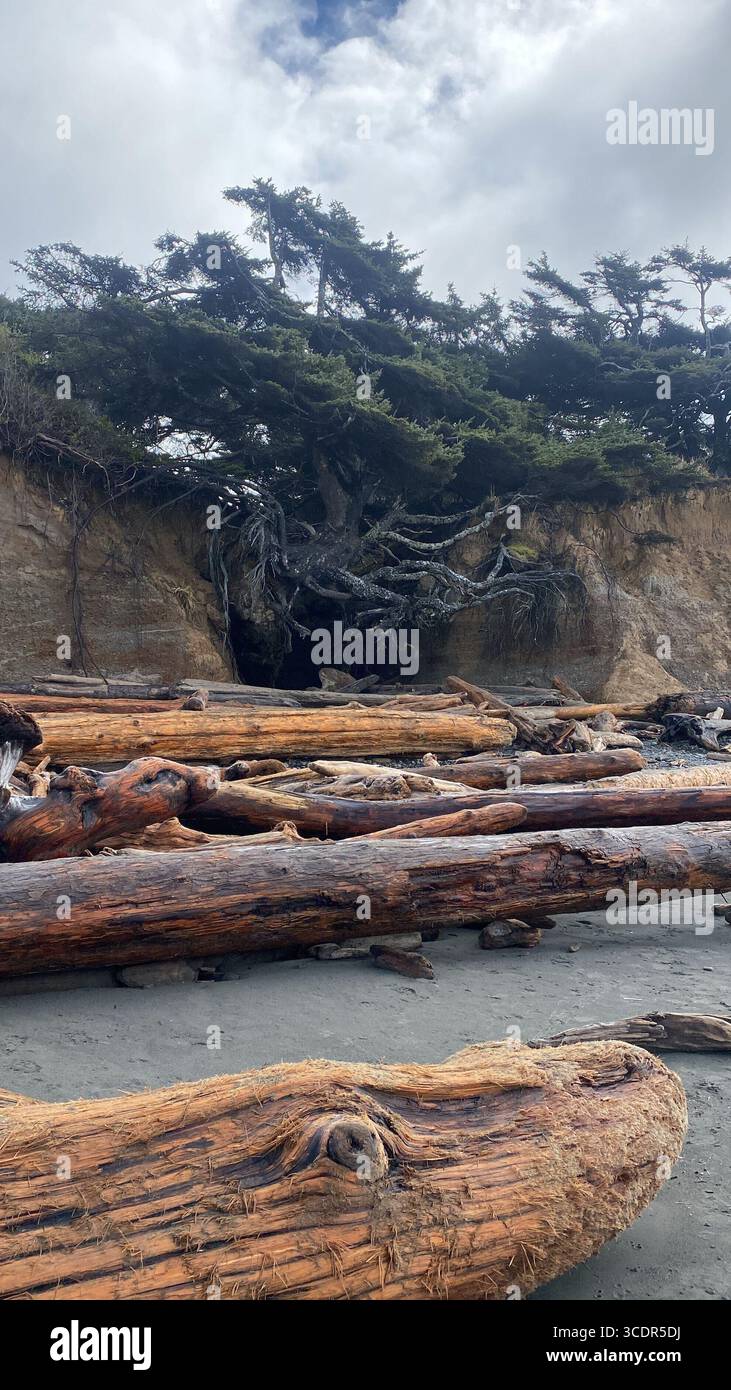 National Parks - Smartphone Captured Stock Image