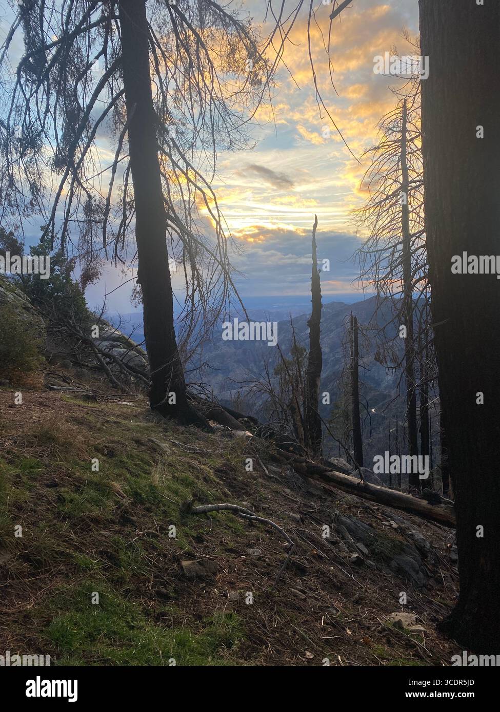 National Parks - Smartphone Captured Stock Image