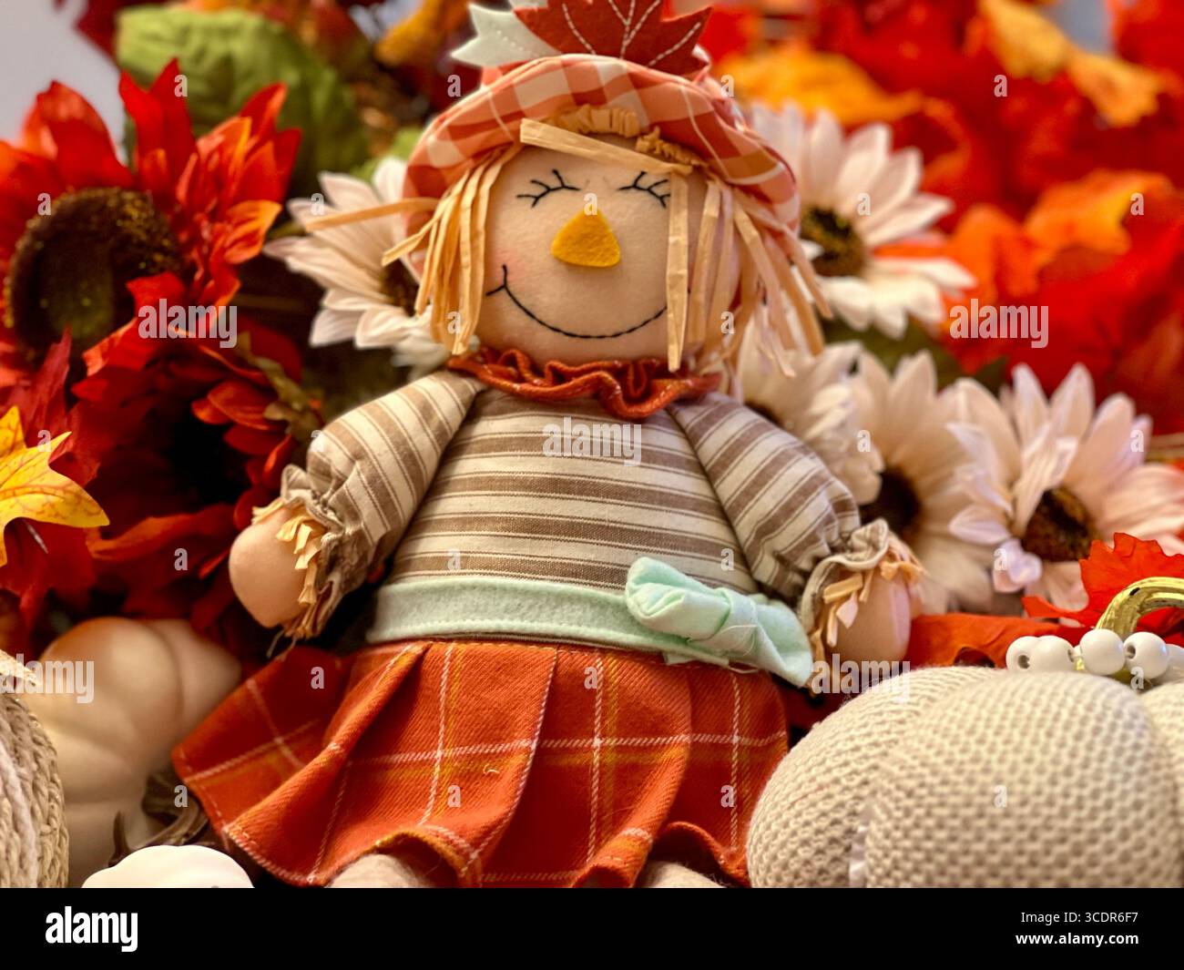 A female smiling scarecrow surrounded by Autumn seasonal decor. - Smartphone Captured Stock Image
