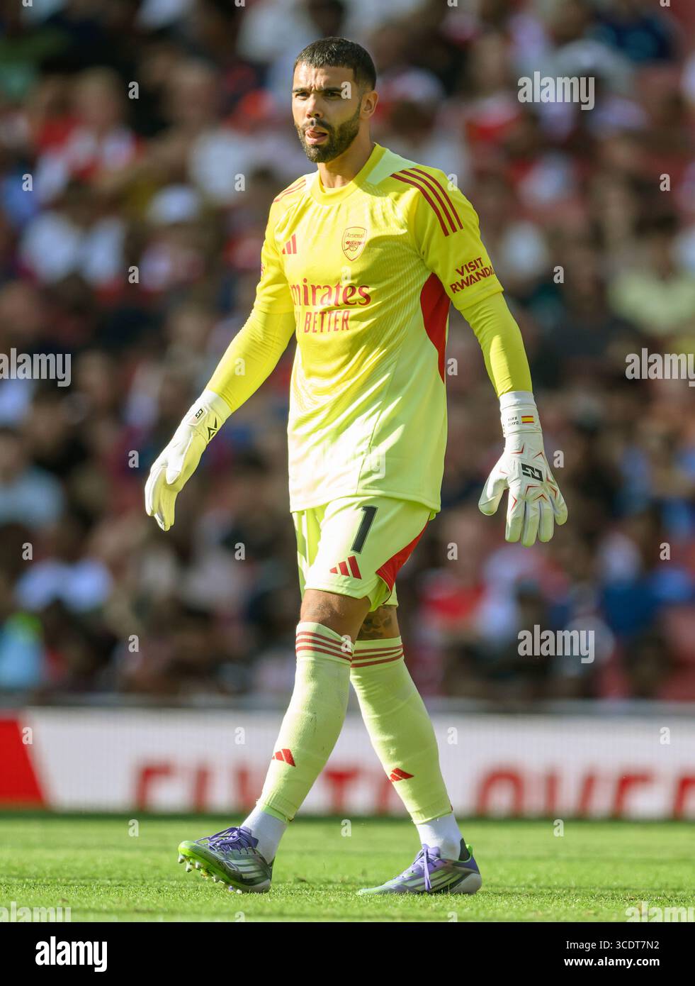 Arsenal goalkeeper david raya hi-res stock photography and images - Alamy