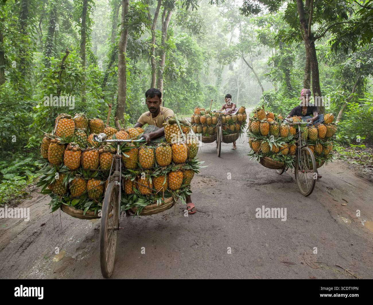 Fohishaxonada jinsiy aloqani tomosha qiling Van Xelsing ishtirokidagi 3D porno