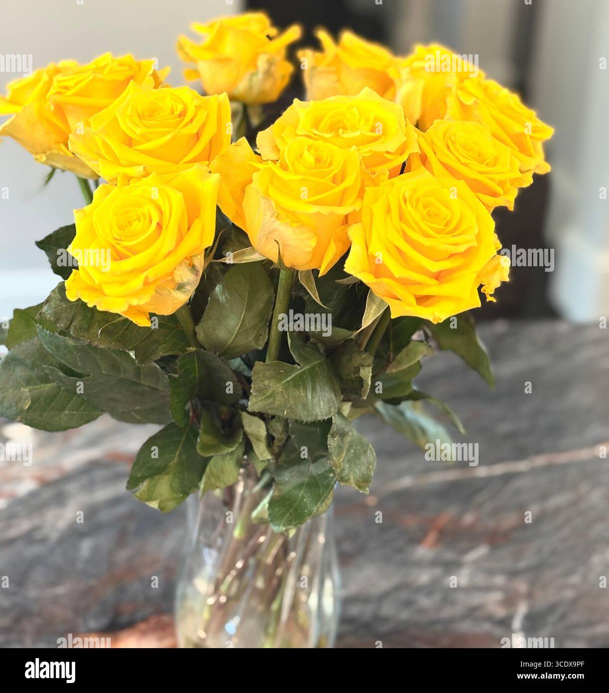 Yellow roses sitting on a dining room table - Smartphone Captured Stock Image