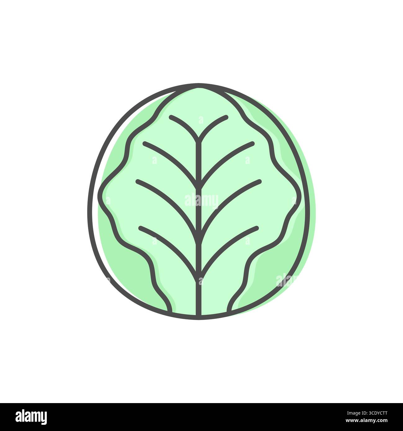 Cabbage line icon isolated on white background. Simple vegetable icon ...