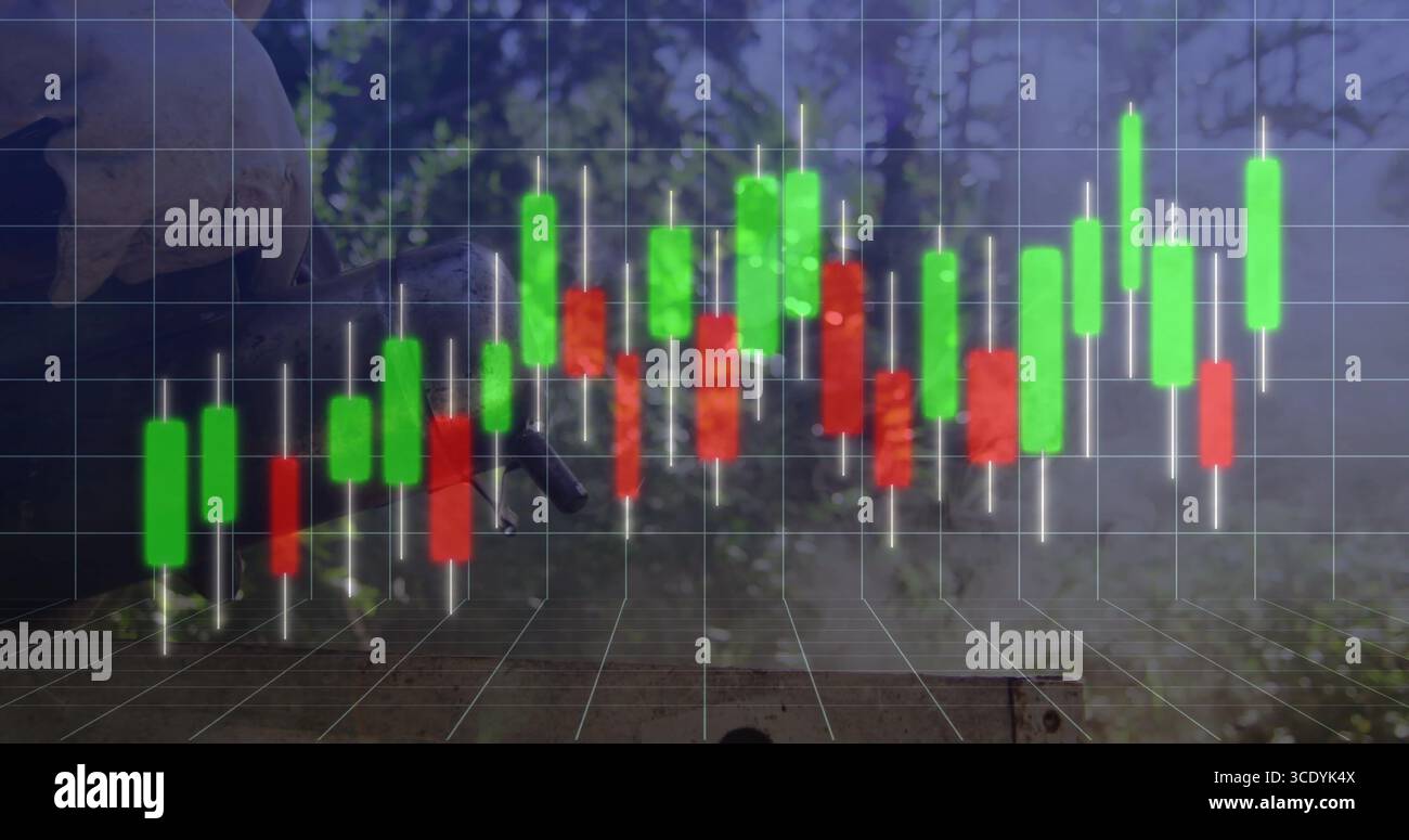 Floating candlestick chart bars hovering above 3D grid floor at ...