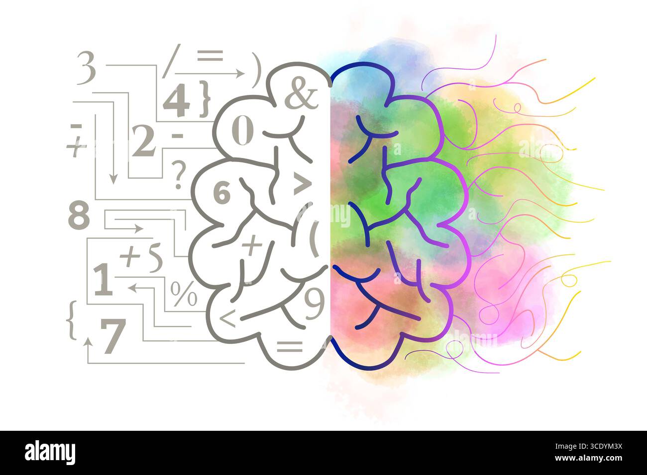 Nice Left and Right Brain Colorful  Illustration Stock Vector
