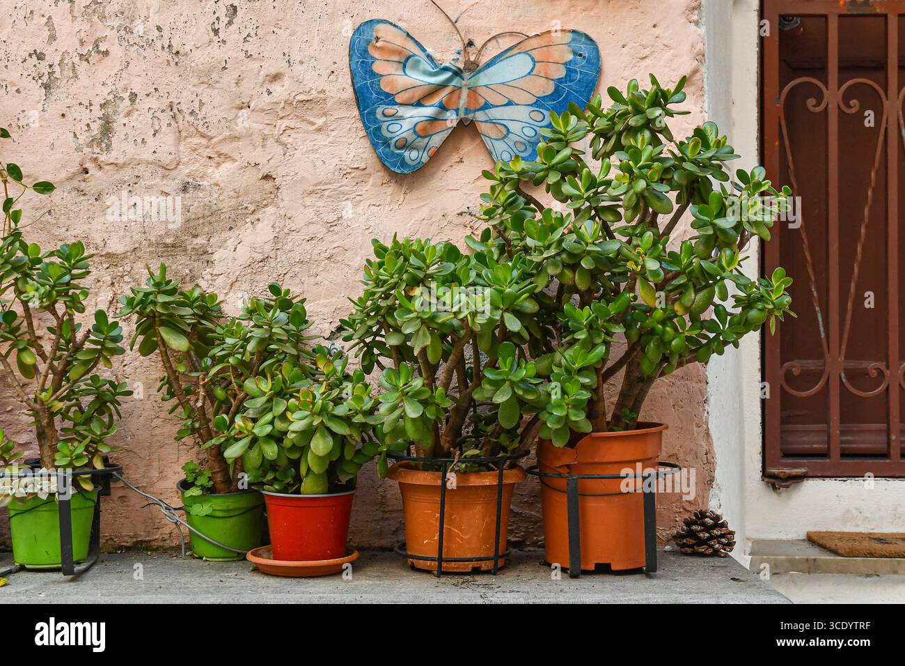 Front door with potted plants hi-res stock photography and images - Alamy