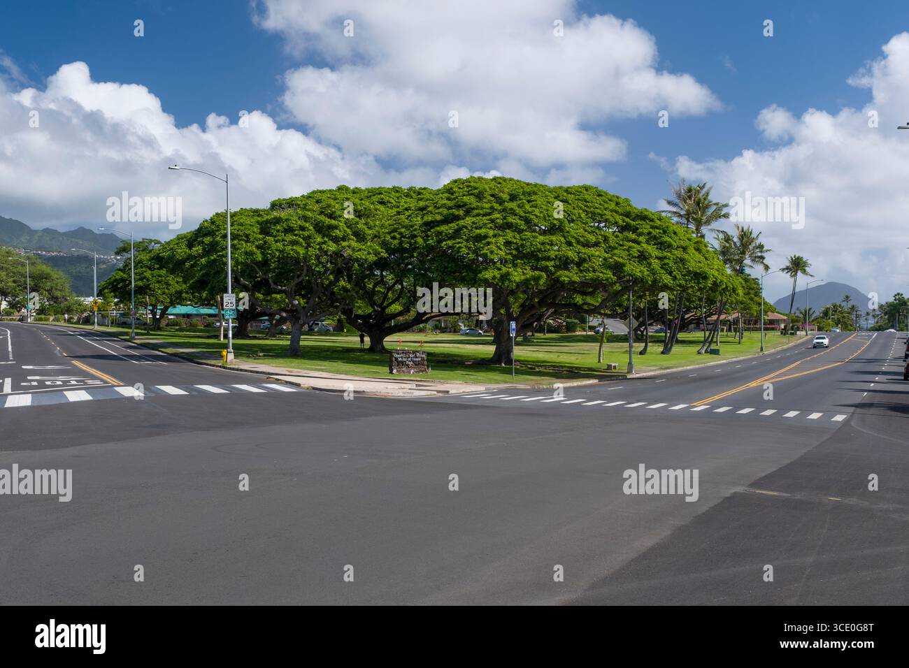 Fort Ruger Park with Diamond Head Road on left and Kahala Avenue on the ...