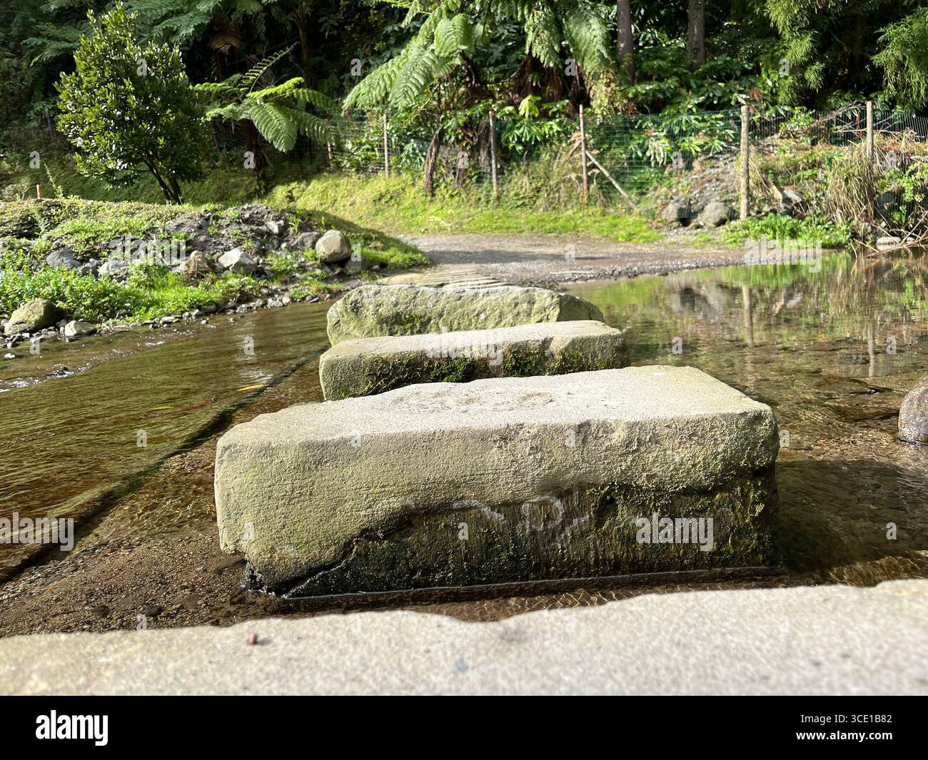 Stepping stone bridge on the circular hiking trail around Furnas Lake, surrounded by lush forest and calm water. - Smartphone Captured Stock Image