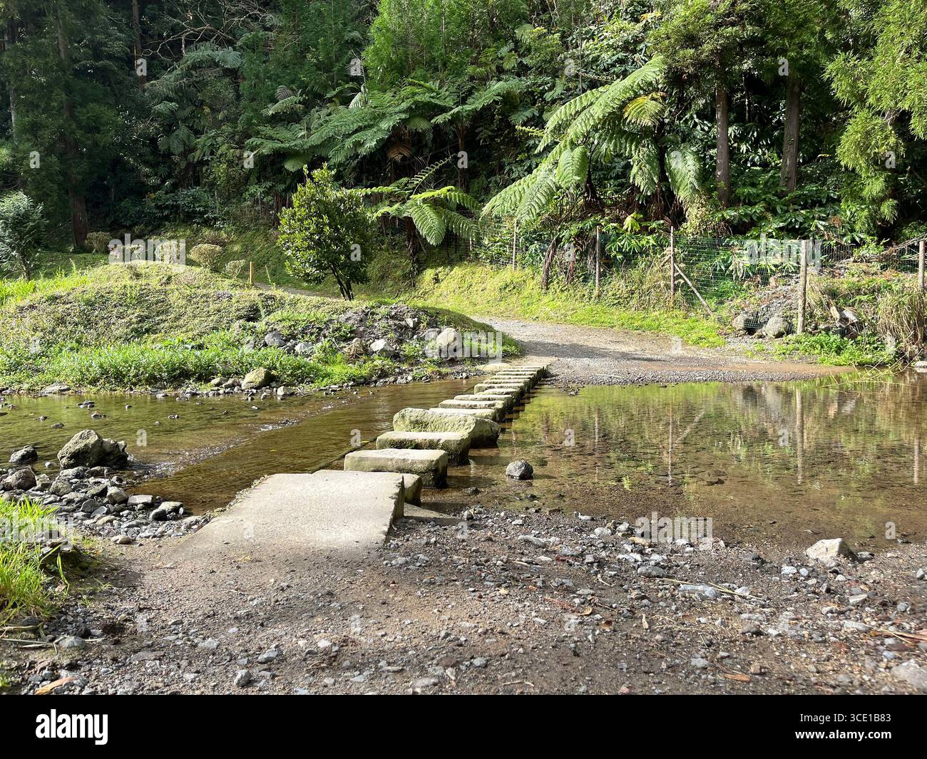 Stepping stone bridge on the circular hiking trail around Furnas Lake, surrounded by lush forest and calm water. - Smartphone Captured Stock Image